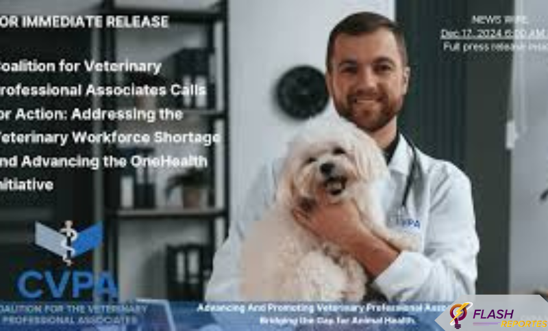 Animal Health Associates: A Complete Guide to Pet Health and Wellness
