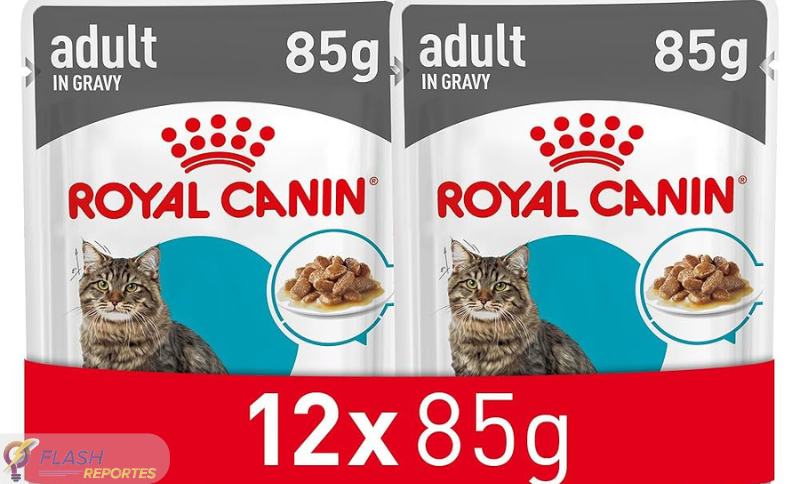 Health Cat Food: A Complete Guide to Nourishing Your Feline Companion